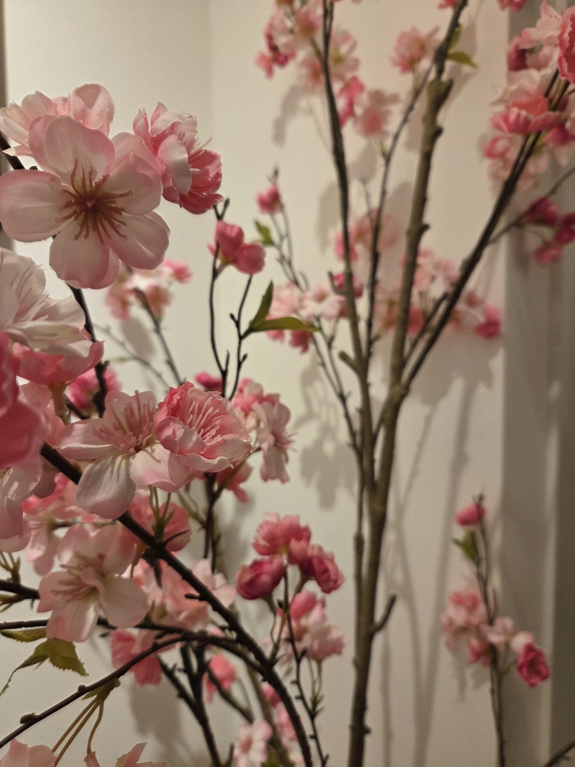 japanse bloesem wachtruimte sfeer